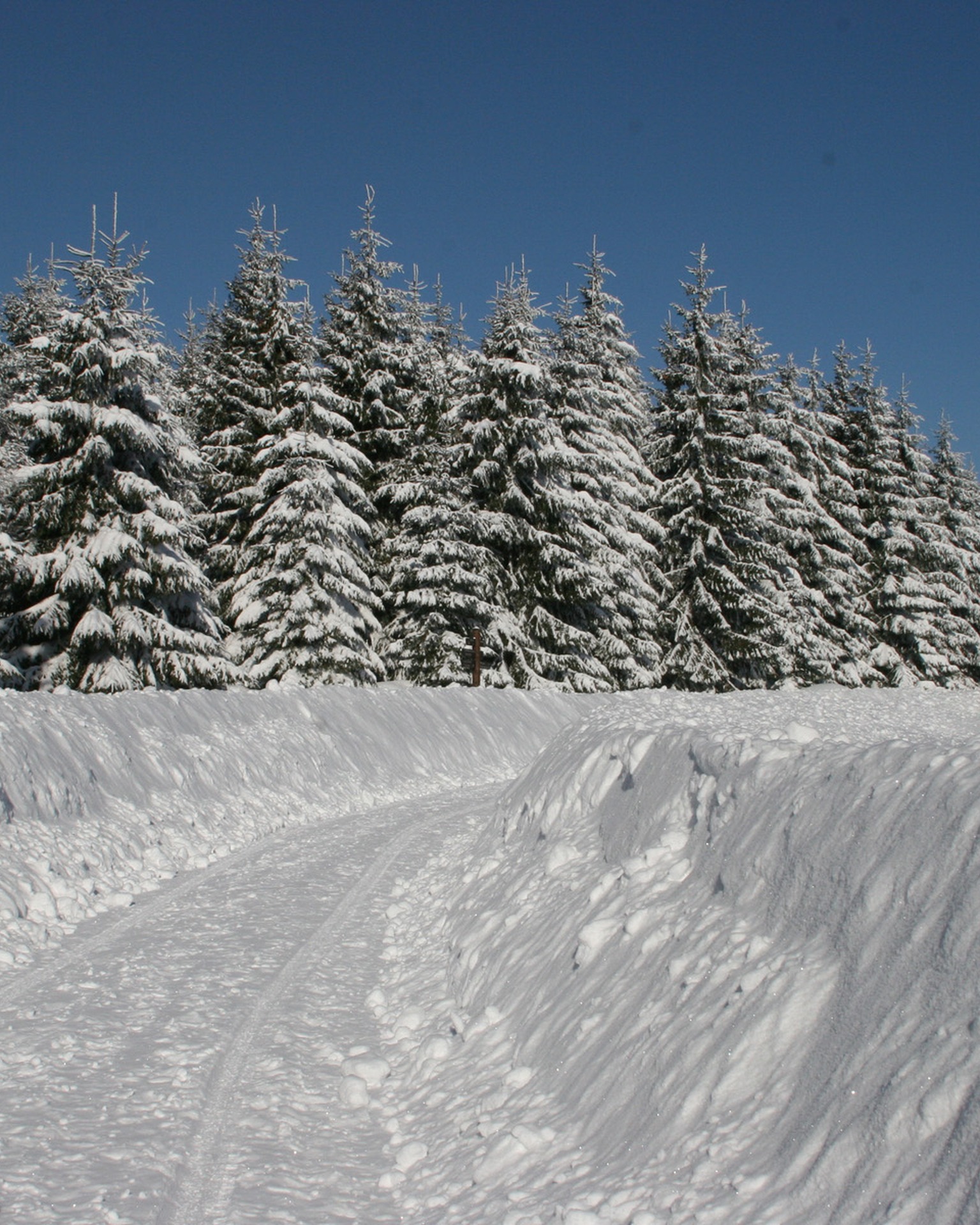 Winterwandern in Hohegeiß